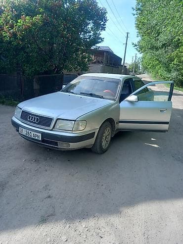 карандо муссо: Audi 100: 1992 г., Седан — 5