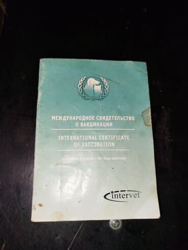 сколько стоит овчарка щенок: Восточноевропейская овчарка, 4 года, Самец, С родословной — 5