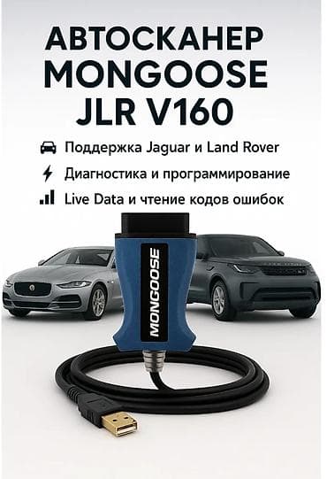 авто ровер: Автосканер MONGOOSE JLR V160 (SDD/IDS) Профессиональный J2534-адаптер — 1