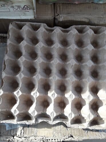 Куплю пустые лотки в неограниченном количестве 1 сом за 1 лоток