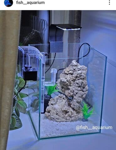 аквариумная рыбка: Аквариум с дизайном. Прекрасен на подарок — 1