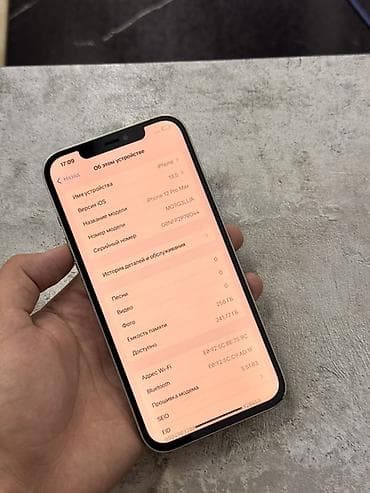 ipod pro: IPhone 12 Pro Max, 256 ГБ, Rose Gold, 100 % — 2