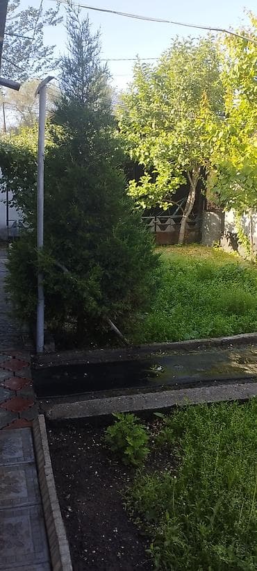 куплю дом в кордае: Барачный, 55 м², 4 комнаты, Собственник, Косметический ремонт — 6