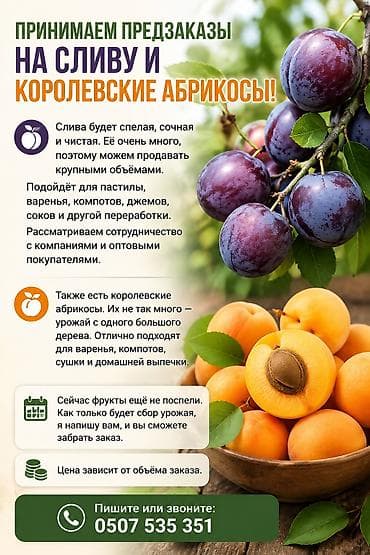 Все подробности написаны на изображение⬆️