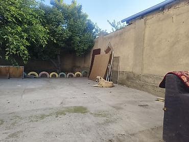 Недвижимость: 170 м², 6 комнат — 7