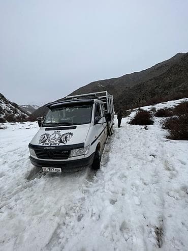 Портер, жүк ташуу: Услуги по перевозке животных (скот, лошади, мелкий рогатый скот) на — 5