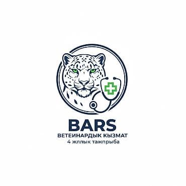BARS — ВЕТЕРИНАРДЫК КЫЗМАТ 7 жылдык тажрыйбасы бар адис ✅