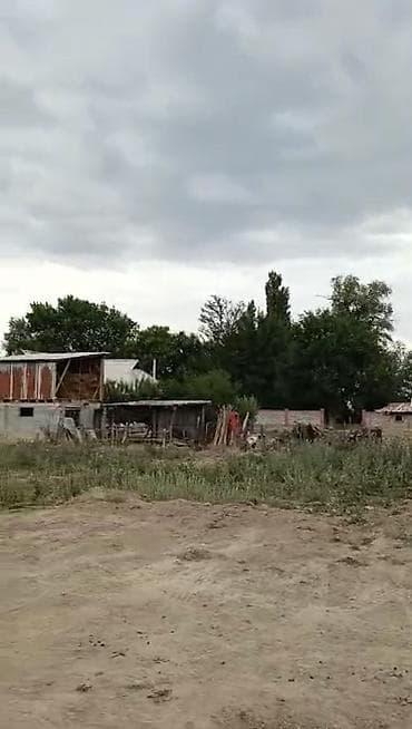Жер тилкелери: 16 соток — 3