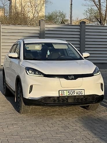 pes 2013: Weltmeister EX5, 2020 г., 92000 км, В наличии — 1