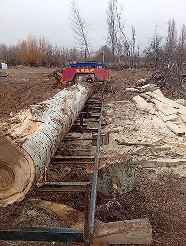 мини бур: Распиловочный станок без ЧПУ, Ленточный, Б/у — 2
