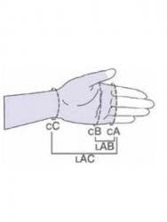 компре: Перчатка компрессионная с длинными пальцами, 2 кл. компр. (23-32 мм — 2