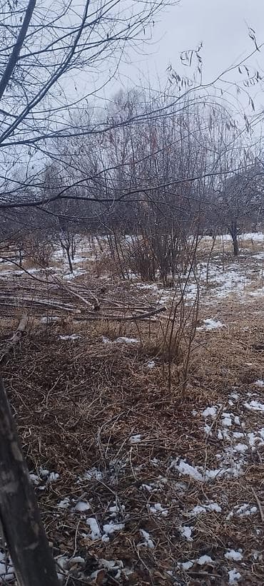 село озерное: 14 соток — 3