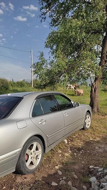 двигатель на мерседес: Mercedes-Benz E-Class: 2002 г., 2.2 л, Автомат, Дизель, Седан — 7