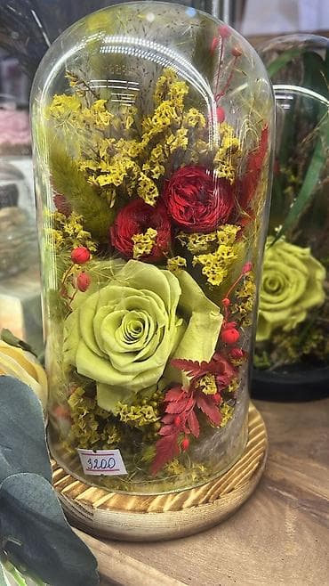 сплав розе: Подарок - живые розы которые не завянут даже через год!!! Роза в — 1