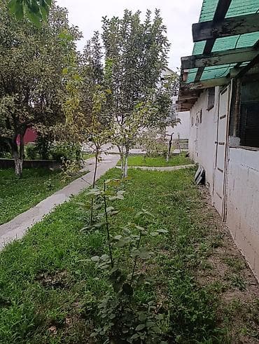 продом дом: Навес/веранда у дома - Просторный навес на опорах, примыкает к стене — 6