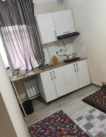 Студия, Риэлтор, Без подселения, С мебелью частично