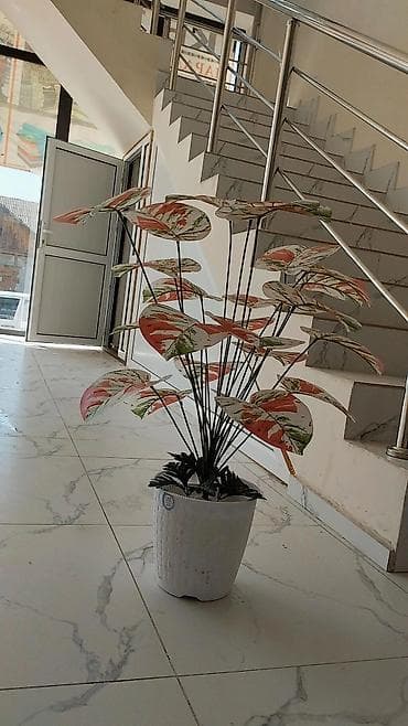 уголь с доставкой бишкек: Искусственные цветочные композиции в кашпо - Большие напольные — 8