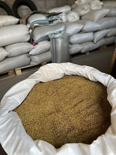 Товары и оборудование для с/х животных: БЕДЕ УРУК САТЫЛАТ. Кара балтаныкы. чыгышына 99% Состав и — 1