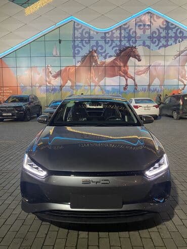 jdm: BYD E2: 2025 г., Автомат, Электромобиль, Хэтчбэк — 1