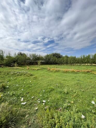 я ищу дом рабочий городок: 50 соток, Бизнес үчүн, Кызыл китеп, Техпаспорт, Сатып алуу-сатуу келишими — 1