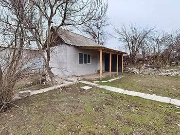 1room flat: 6 соток, Красная книга — 3