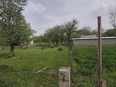 уча: 5 соток, Красная книга — 6