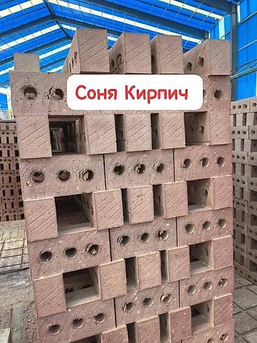 полублок: Пустотелый, дырчатый, Жженый кирпич, Полублок, 250×120×90 — 1