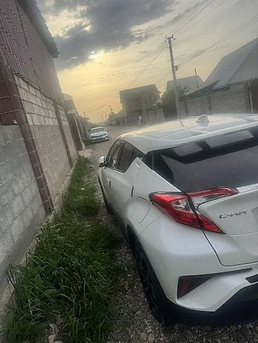 zeekr 01: Toyota C-HR: 2019 г., Автомат, Бензин, Кроссовер — 3