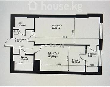pro group: 2 комнаты, 55 м², БГУ Элитка, 10 этаж, ПСО (под самоотделку) — 3