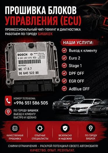Профессиональная прошивка блоков управления (ECU) и чип‑тюнинг