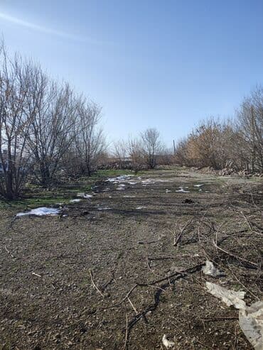 дом на иссык куле купить: 65 соток, Для бизнеса, Красная книга, Тех паспорт, Договор купли-продажи — 7