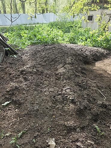 пони конь: Тооктун кыгы — 1