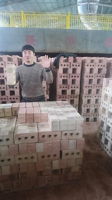 подонны: Пустотелый, дырчатый, Жженый кирпич, Полублок, 250×120×90 — 5