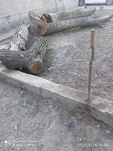 булка хлеб: Дрова Орех — 2