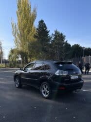 подушка тайота виш: Lexus RX: 2007 г., 3.3 л, Гибрид — 3