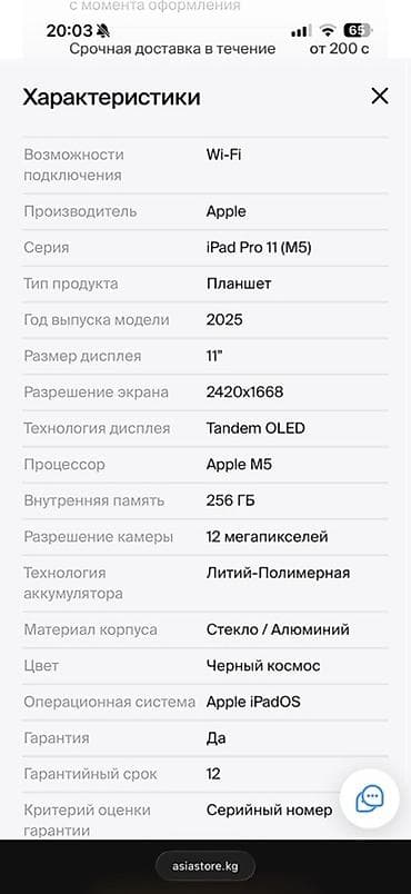 Планшеты: Apple iPad Pro 11″ (M5), Wi‑Fi, 256 ГБ, серебристый iPad заряжался — 4