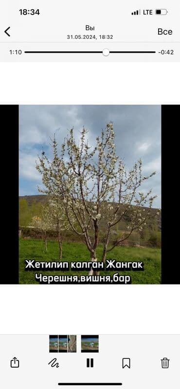 дом с петровка: Дом, 60000 м², 6 комнат — 5