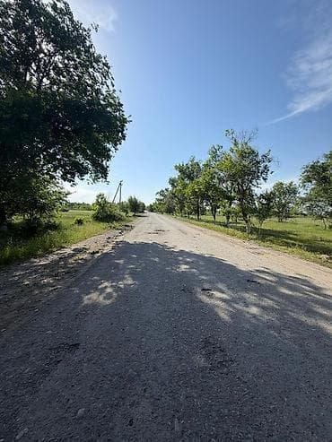 село чокморова: 1 соток, Для сельского хозяйства — 5