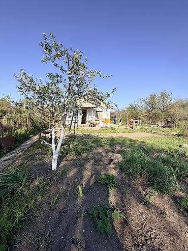 дом в антоновке: Срочно продаётся.Дача/садовый дом с участком - Кирпичный одноэтажный — 7