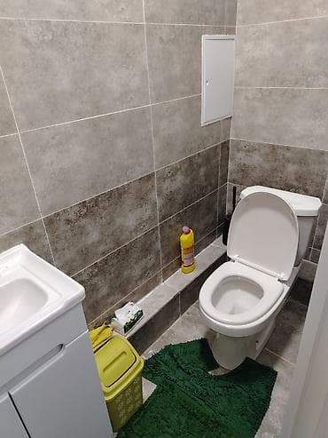 квартира в аламедин 1: 2 бөлмө, Менчик ээси, Толугу менен эмереги бар — 1