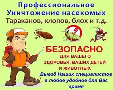Дезинфекция, дезинсекция, | Клопы, Блохи, Тараканы, | Транспорт, Офисы, Квартиры at lalafo.kg Дезинфекция, дезинсекция, | Клопы, Блохи, Тараканы, | Транспорт, Офисы, Квартиры