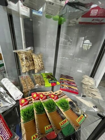 акустические системы vava колонка в виде собак: Корма, лотки, игрушки, клетки для кошек, собак, попугаев, хомячков и — 2