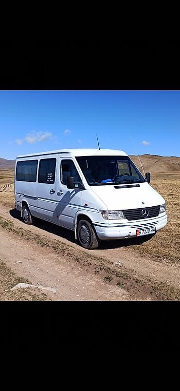 Mercedes-Benz Спринтер: 1996 г., 2.9 л, Дизель