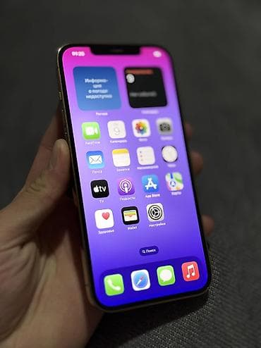 redmi s 2: IPhone 12 Pro Max, Б/у, 256 ГБ, Золотой, Защитное стекло, 77 % — 1