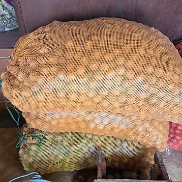 мешки для лук: Грецкие орехи в сетчатых мешках цена договорная срочно !!! - Цельные — 2