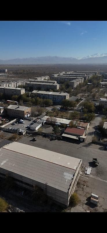 Жер тилкелери: 25 соток, Курулуш, Сатып алуу-сатуу келишими, Кызыл китеп, Техпаспорт — 3