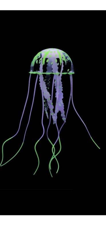 аквариумная рыбка: Медузы аквариумные. Отличная декорация для аквариумов — 2
