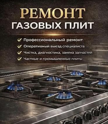 Техника и электроника: Ремонт газовых плит - Профессиональный ремонт - Оперативный выезд — 1