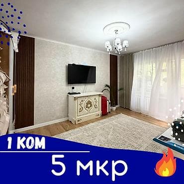 1 комната, 33 м², 105 серия, 1 этаж, Евроремонт