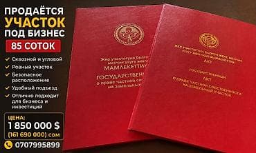 85 соток, Бизнес үчүн, Кызыл китеп